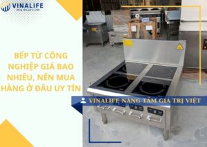 Bếp từ công nghiệp giá bao nhiêu