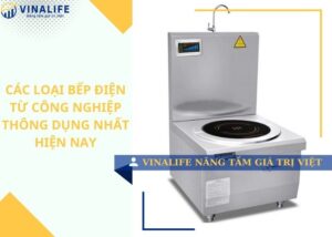 Các loại bếp điện từ công nghiệp thông dụng