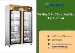 tu-say-bat-cong-nghiep-tai-gia-lai